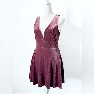 Express Velvet Skater Dress